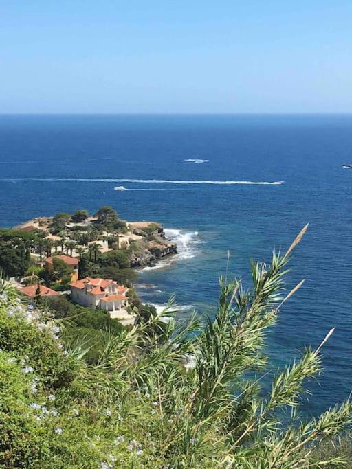 Vue Mer Incroyable Aux Portes De Monaco كاب داي المظهر الخارجي الصورة